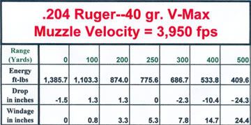 ruger ballistics 40gr